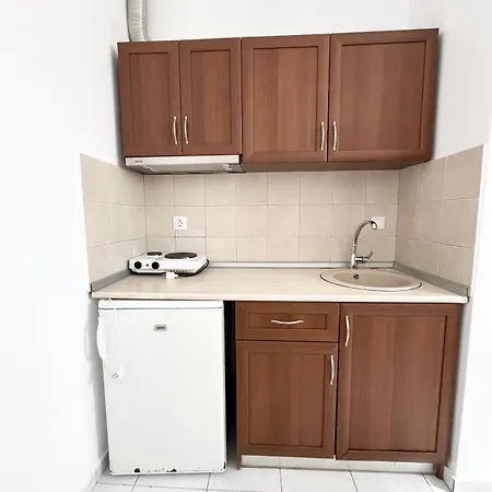 Asterofos Apartment Psakoudia